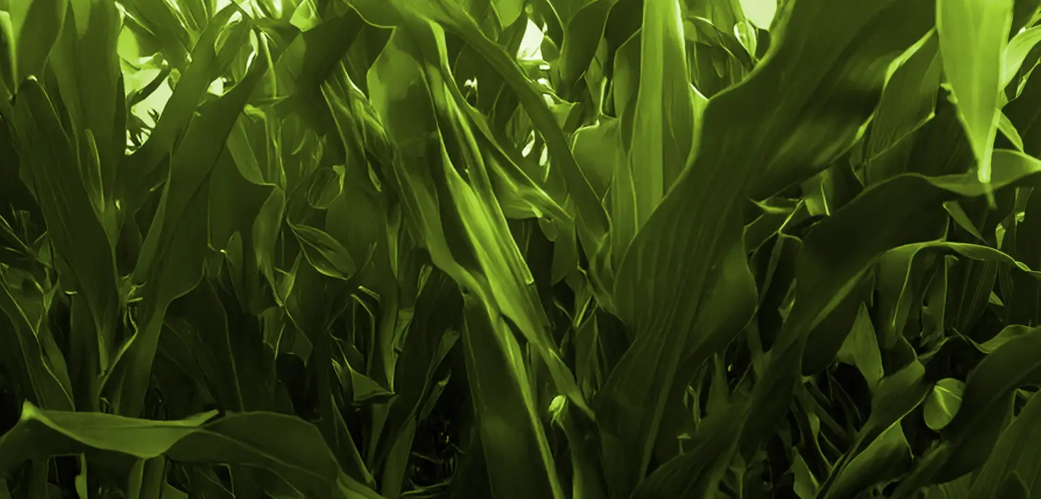 Ferti Agro
